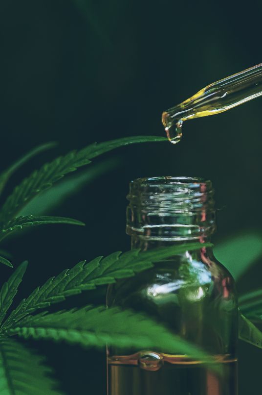 open cbd oil dropper bottle behind a hemp leaf