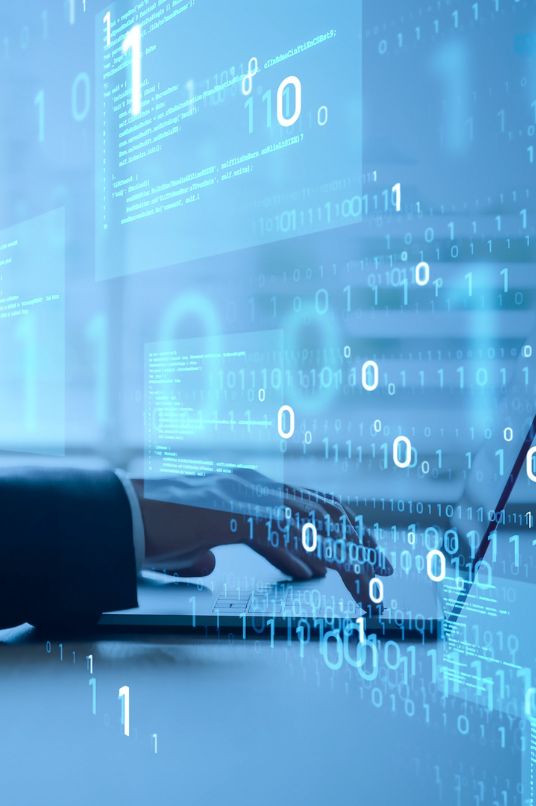 person working on laptop with IT software